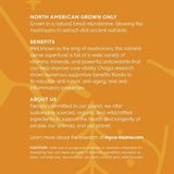 ADORED BEAST (MYCO-BIOME) CHAGA MUSHROOMS | LIQUID TRIPLE EXTRACT 125ML
