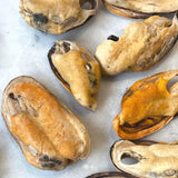 GOURMATE ORGANIC GREEN LIPPED MUSSELS