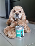 LOYALTY & CO. DENTAL PLUS 70G / 250G