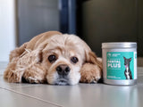 LOYALTY & CO. DENTAL PLUS 70G / 250G