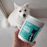 LOYALTY & CO. DENTAL PURE 70G / 250G