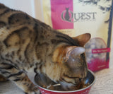 STEVE'S REAL FOOD - QUEST FREEZE DRIED RAW CAT FOOD BEEF 10oz.