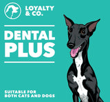 LOYALTY & CO. DENTAL PLUS 70G / 250G