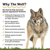 ADORED BEAST THE WOLF | SPECIES APPROCPRIATE PROBIOTIC 60ML
