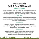 ADORED BEAST SOIL & SEA | PRIMORDIAL PRE & PROBIOTICS 40G/80G