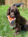 JR PETS PURE CHICKEN TRAINING TREATS 85G - BEST BEFORE OCT 2024