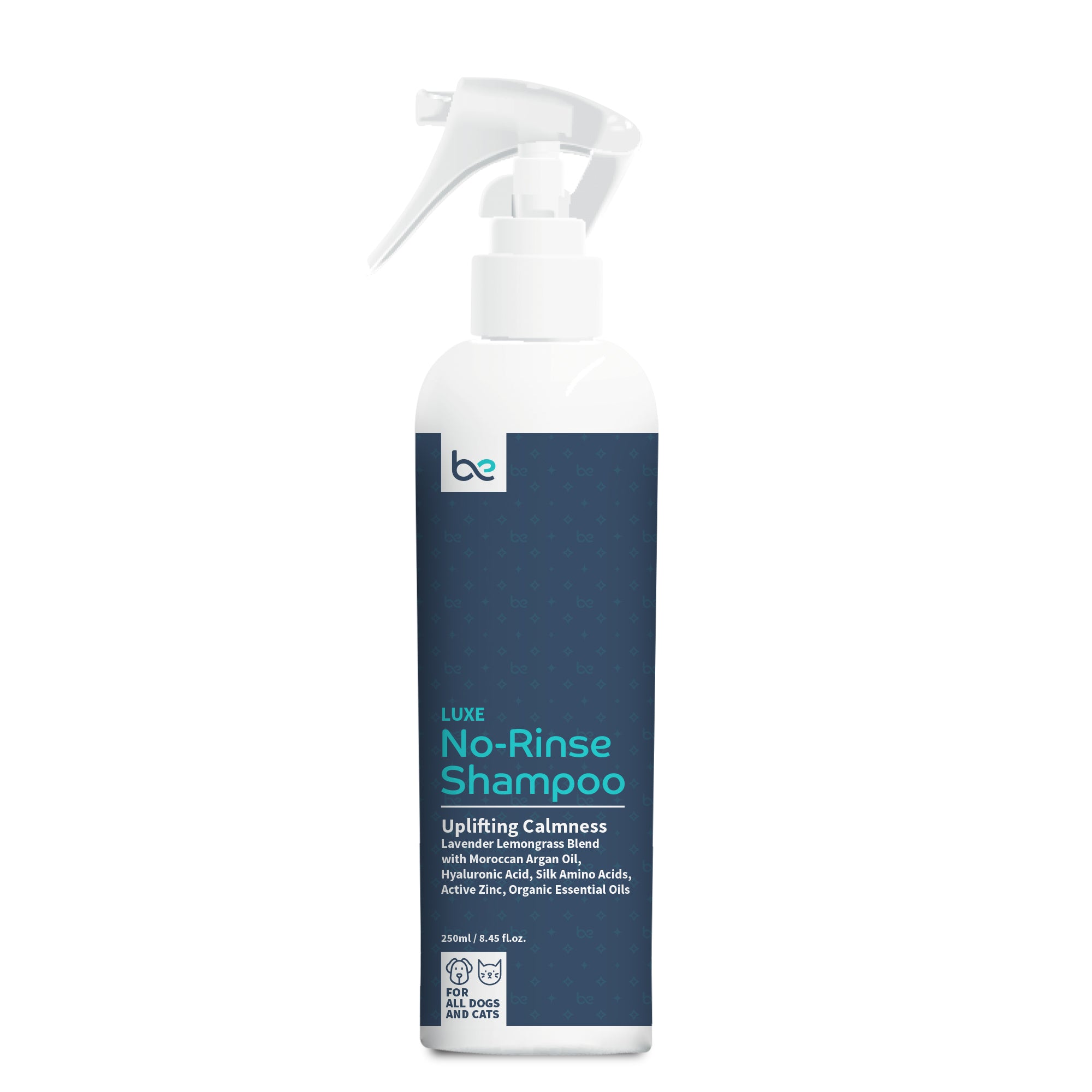 BEYOND CLEAN LUXE NO-RINSE SHAMPOO – LOYALTY & CO.